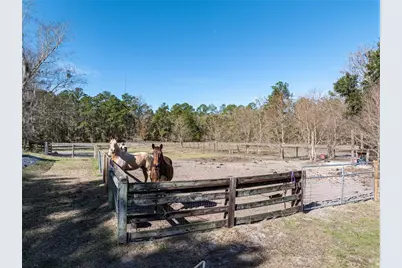 10720 NW 53rd Terrace, Gainesville, FL 32653 - Photo 79