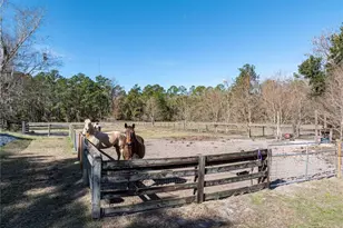 10720 NW 53rd Ter, Gainesville, FL 32653 - Photo 79