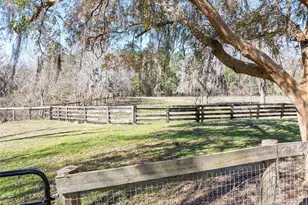 10720 NW 53rd Ter, Gainesville, FL 32653 - Photo 97