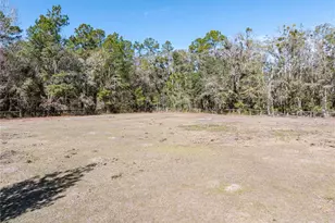 10720 NW 53rd Ter, Gainesville, FL 32653 - Photo 93