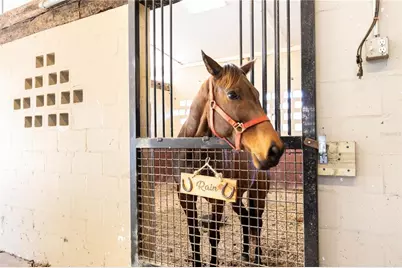 10720 NW 53rd Terrace, Gainesville, FL 32653 - Photo 45