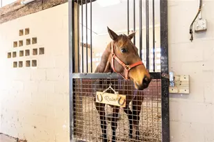 10720 NW 53rd Ter, Gainesville, FL 32653 - Photo 45