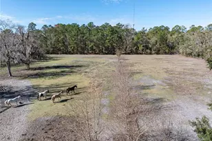 10720 NW 53rd Ter, Gainesville, FL 32653 - Photo 87