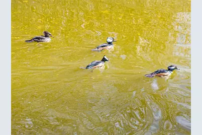 10720 NW 53rd Terrace, Gainesville, FL 32653 - Photo 77