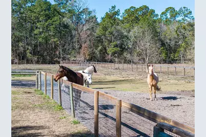 10720 NW 53rd Terrace, Gainesville, FL 32653 - Photo 81