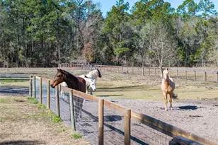 10720 NW 53rd Ter, Gainesville, FL 32653 - Photo 81