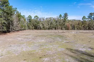 10720 NW 53rd Ter, Gainesville, FL 32653 - Photo 89