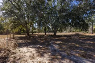 12456 155th Pl, Live Oak, FL 32060 - Photo 63