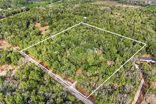 269 SW Backwoods Glen, Fort White, FL 32038 - Photo 3