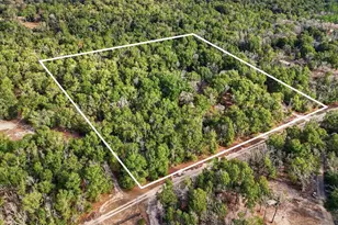 269 SW Backwoods Glen, Fort White, FL 32038 - Photo 29