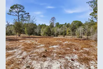 00 NE 78th Terrace, Bronson, FL 32621 - Photo 9