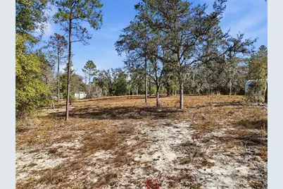 00 NE 78th Terrace, Bronson, FL 32621 - Photo 11