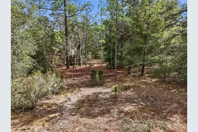 00 NE 111th Lane, Bronson, FL 32621 - Photo 11