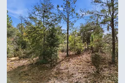 00 NE 111th Lane, Bronson, FL 32621 - Photo 13