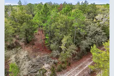 00 NE 111th Lane, Bronson, FL 32621 - Photo 9