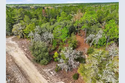 00 NE 111th Lane, Bronson, FL 32621 - Photo 7