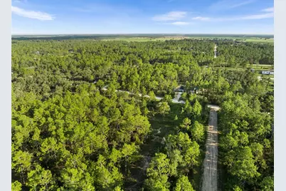 Ne 00 Street, Williston, FL 32696 - Photo 9