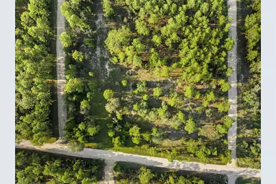 Ne 00 Street, Williston, FL 32696 - Photo 5