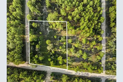 Ne 00 Street, Williston, FL 32696 - Photo 3