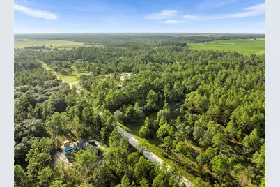 Ne 00 Street, Williston, FL 32696 - Photo 11