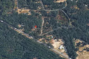 556 County Rd 219, Melrose, FL 32666 - Photo 23