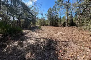 556 County Rd 219, Melrose, FL 32666 - Photo 17