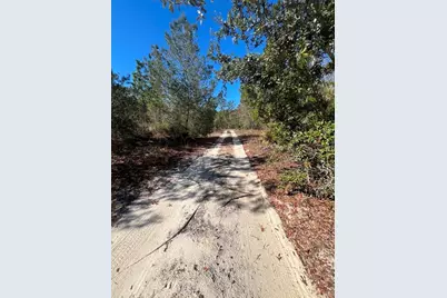 556 County Road 219, Melrose, FL 32666 - Photo 21