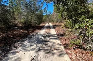 556 County Rd 219, Melrose, FL 32666 - Photo 21