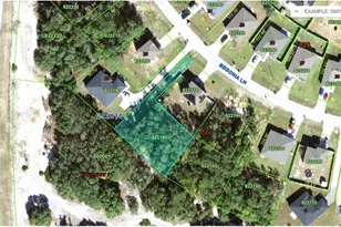 224 Begonia Ln, Kissimmee, FL 34759 - Photo 1