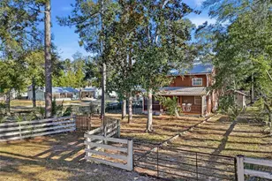 317 Cedar Street NE, Steinhatchee, FL 32359 - Photo 27