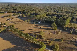 19227 SW 187 Ave, Archer, FL 32618 - Photo 53