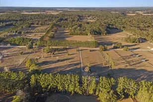 19227 SW 187 Ave, Archer, FL 32618 - Photo 57