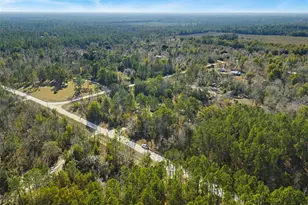 3353 NE 71st Ave, High Springs, FL 32643 - Photo 29