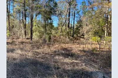 16091 SW 20th Lane, Ocala, FL 34481 - Photo 1