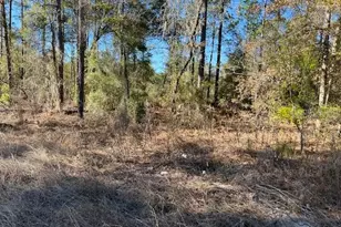 16091 SW 20th Ln, Ocala, FL 34481 - Photo 1