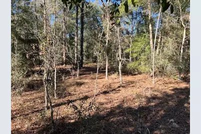 16091 SW 20th Lane, Ocala, FL 34481 - Photo 5