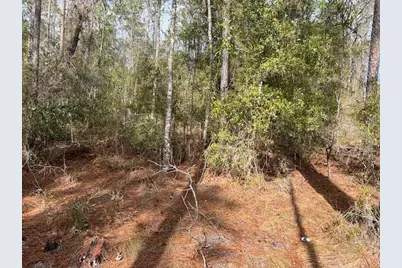 Nw 16th Avenue, Bell, FL 32619 - Photo 7