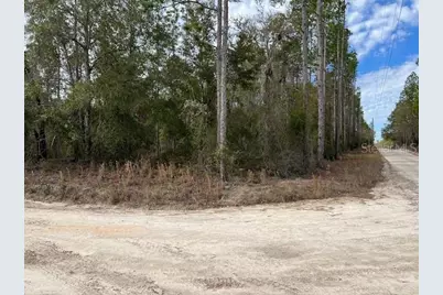Nw 16th Avenue, Bell, FL 32619 - Photo 11