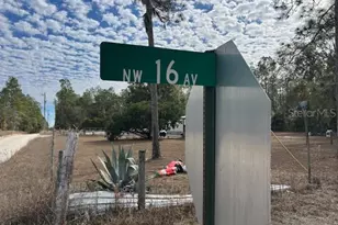 NW 16th Ave, Bell, FL 32619 - Photo 1