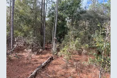 Nw 16th Avenue, Bell, FL 32619 - Photo 3