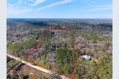 21736 NW 75th Avenue Road, Micanopy, FL 32667 - Photo 5