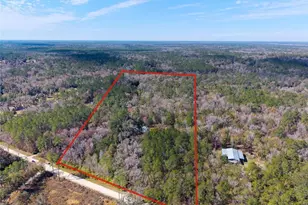 21736 NW 75th Ave Rd, Micanopy, FL 32667 - Photo 5