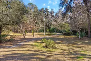 21736 NW 75th Ave Rd, Micanopy, FL 32667 - Photo 83