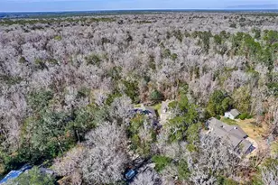 10015 NW 62 Ln, Gainesville, FL 32653 - Photo 49