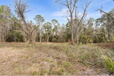 905 NE US Hwy 301, Hawthorne, FL 32640 - Photo 3