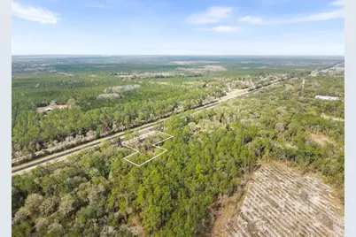 905 NE US Hwy 301, Hawthorne, FL 32640 - Photo 13