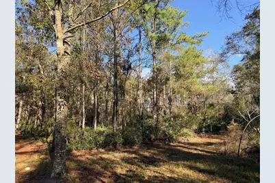 Off NW 10 Place, Chiefland, FL 32626 - Photo 5