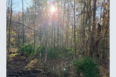 Off NW 10 Place, Chiefland, FL 32626 - Photo 19