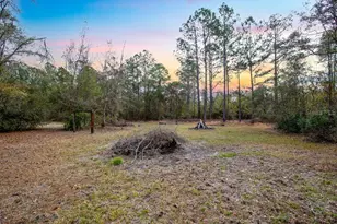 Tbd 140th Terrace, Lake City, FL 32024 - Photo 33