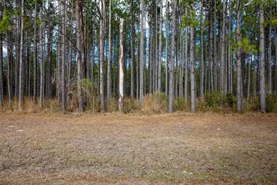 Tbd 140th Terrace, Lake City, FL 32024 - Photo 31